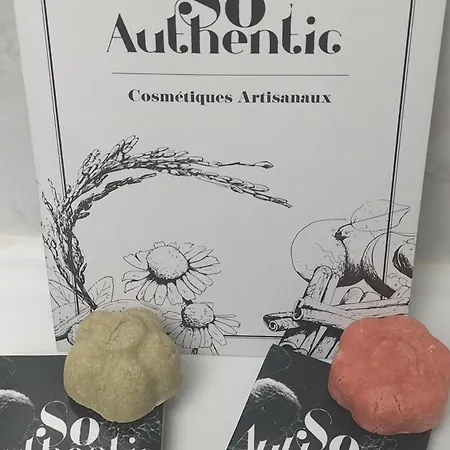 شقة Centre نانسي