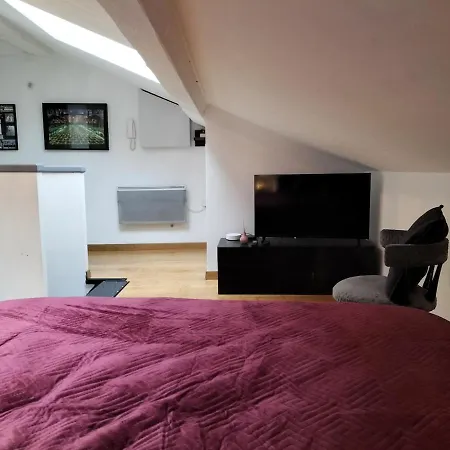 Apartment Centre Nancy