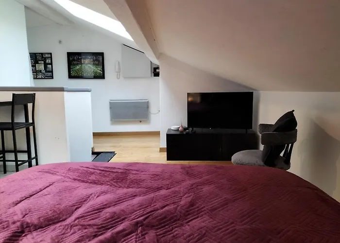 Appartement Centre Nancy